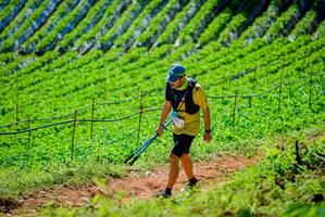 BIB: 365
                            <button type="button" onclick="openModal(19163464)" class="btn btn-primary btn-sm float-right btn-popup" data-toggle="modal" data-target=".modal-high-quality">
                        <i class="fas fa-shopping-cart"></i> Add to Cart
                    </button>
                                            <button type="button" onclick="isThisMe(19163464, true)" class="btn btn-success btn-sm float-right btn-popup btn-isme hidden" data-toggle="tooltip" data-placement="bottom" title="นี่คือรูปของคุณใช่ไหม คลิกที่นี่เพื่อเอาเข้าอัลบั้ม">
                        <i class="fas fa-plus"></i> Add to album
                    </button>
                    <button type="button" onclick="isThisMe(19163464, false)" class="btn btn-warning btn-sm float-right btn-popup btn-isnotme hidden">
                        <i class="fas fa-ban"></i> Remove from album
                    </button>